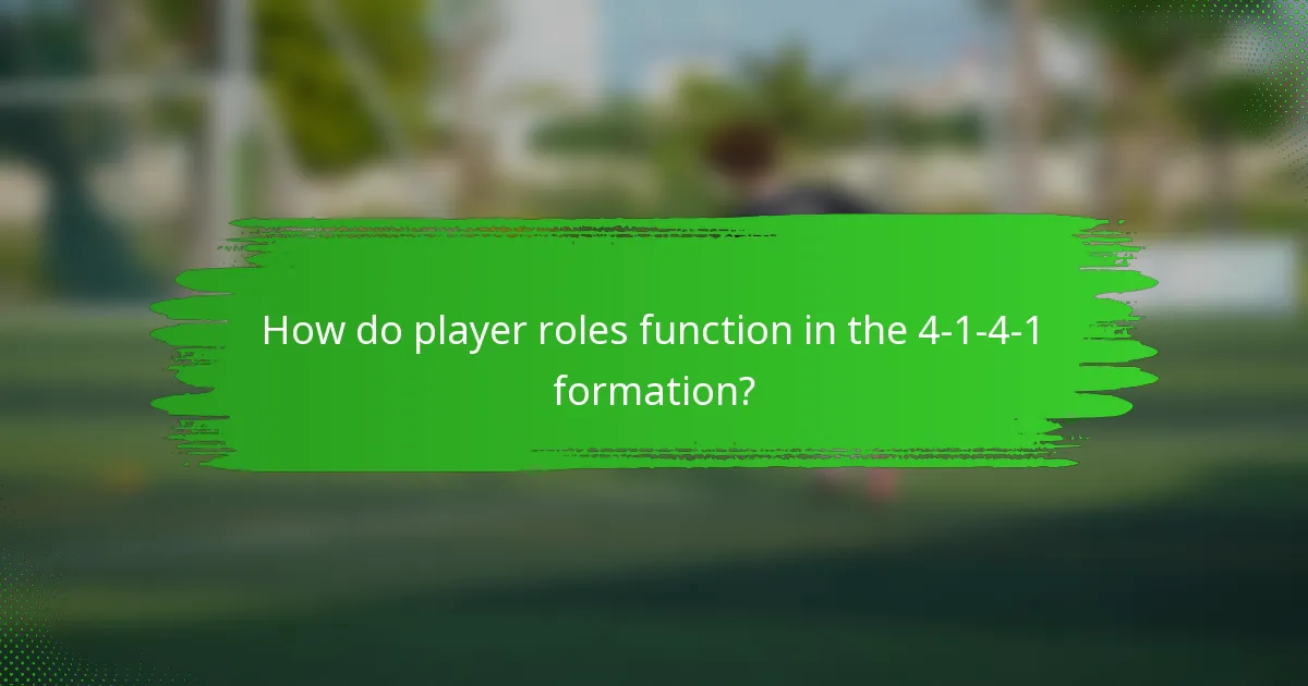 How do player roles function in the 4-1-4-1 formation?